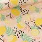 Preview: Canvas Eigenproduktion 'Lemon Pop'