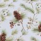 Preview: Canvas Eigenproduktion 'Tannenzapfen natur'