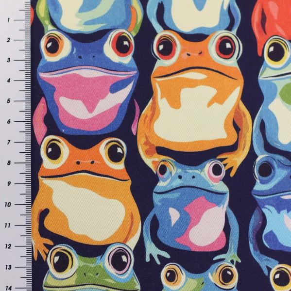 Preview: Canvas Eigenproduktion 'Froschkönig'