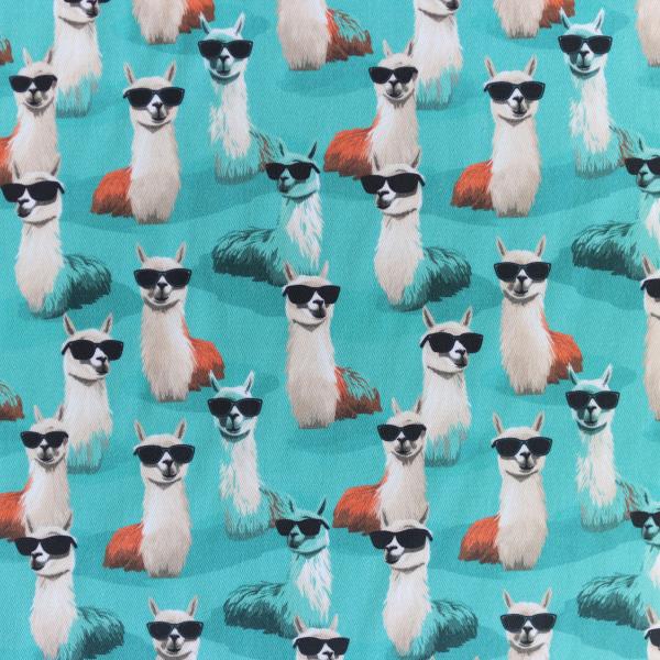 Canvas Eigenproduktion 'Lama'