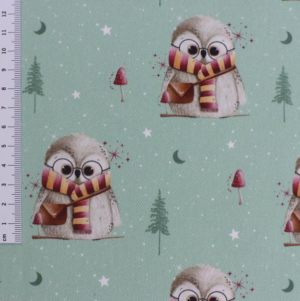 Canvas Eigenproduktion 'Wintereule'