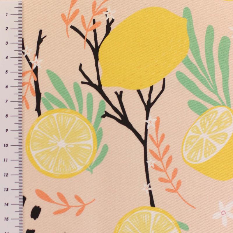 Canvas Eigenproduktion 'Lemon Pop'
