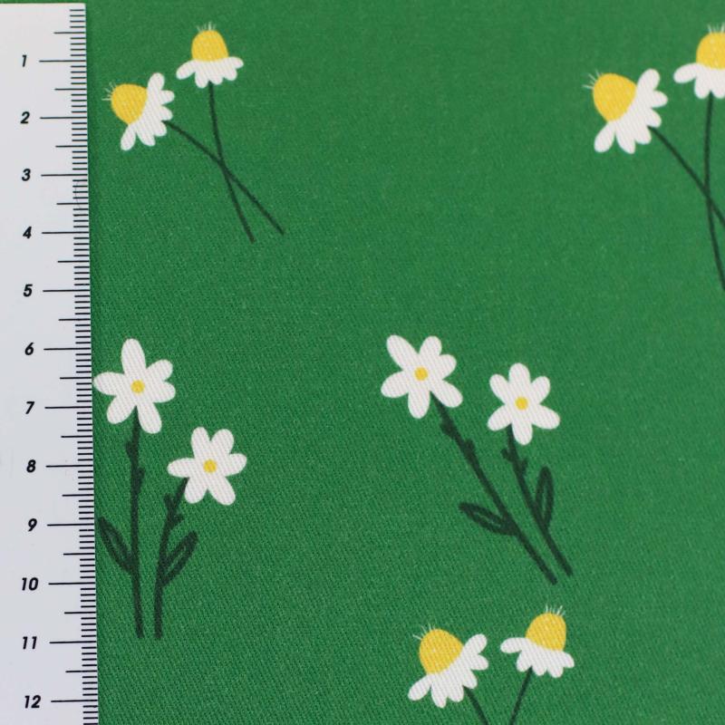 Canvas Eigenproduktion 'Gänseblümchen'