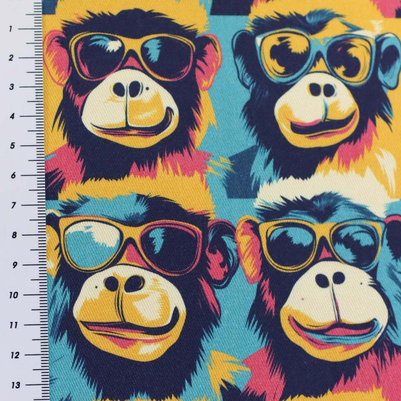 Canvas Eigenproduktion 'Affentheater'