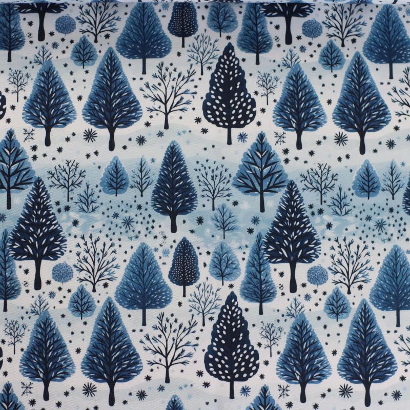 Canvas Eigenproduktion 'Winterwald'